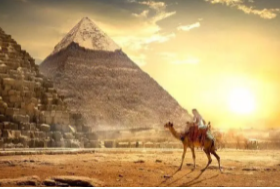 埃及电商市场数据调研