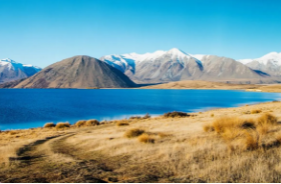 新西兰2023年Q1电商报告，服装鞋类网购下降