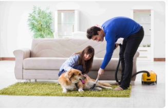 TikTok Shop预计十月开放西班牙和爱尔兰站点